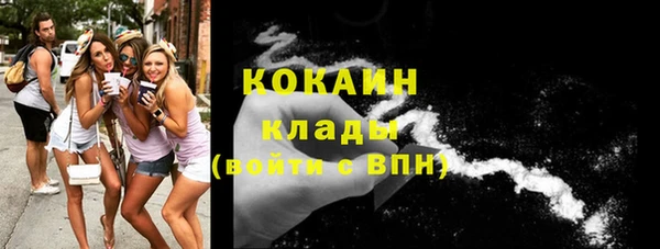 шишки Алексеевка