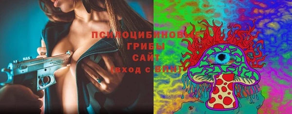 шишки Алексеевка