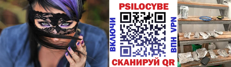 продажа наркотиков  Богородск  Псилоцибиновые грибы мицелий 