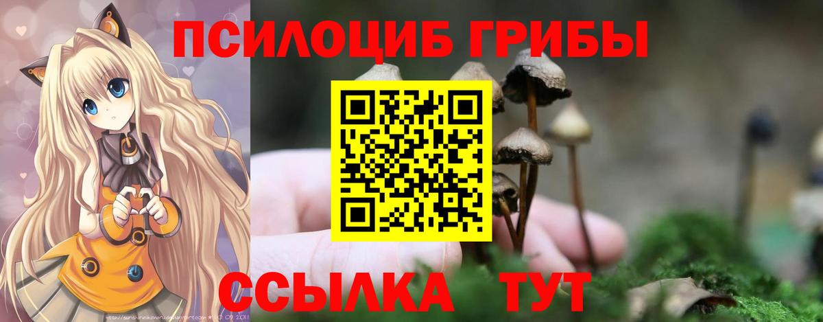 Галлюциногенные грибы Magic Shrooms Богородск